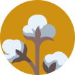 Cotton Hoa Kỳ loại 2