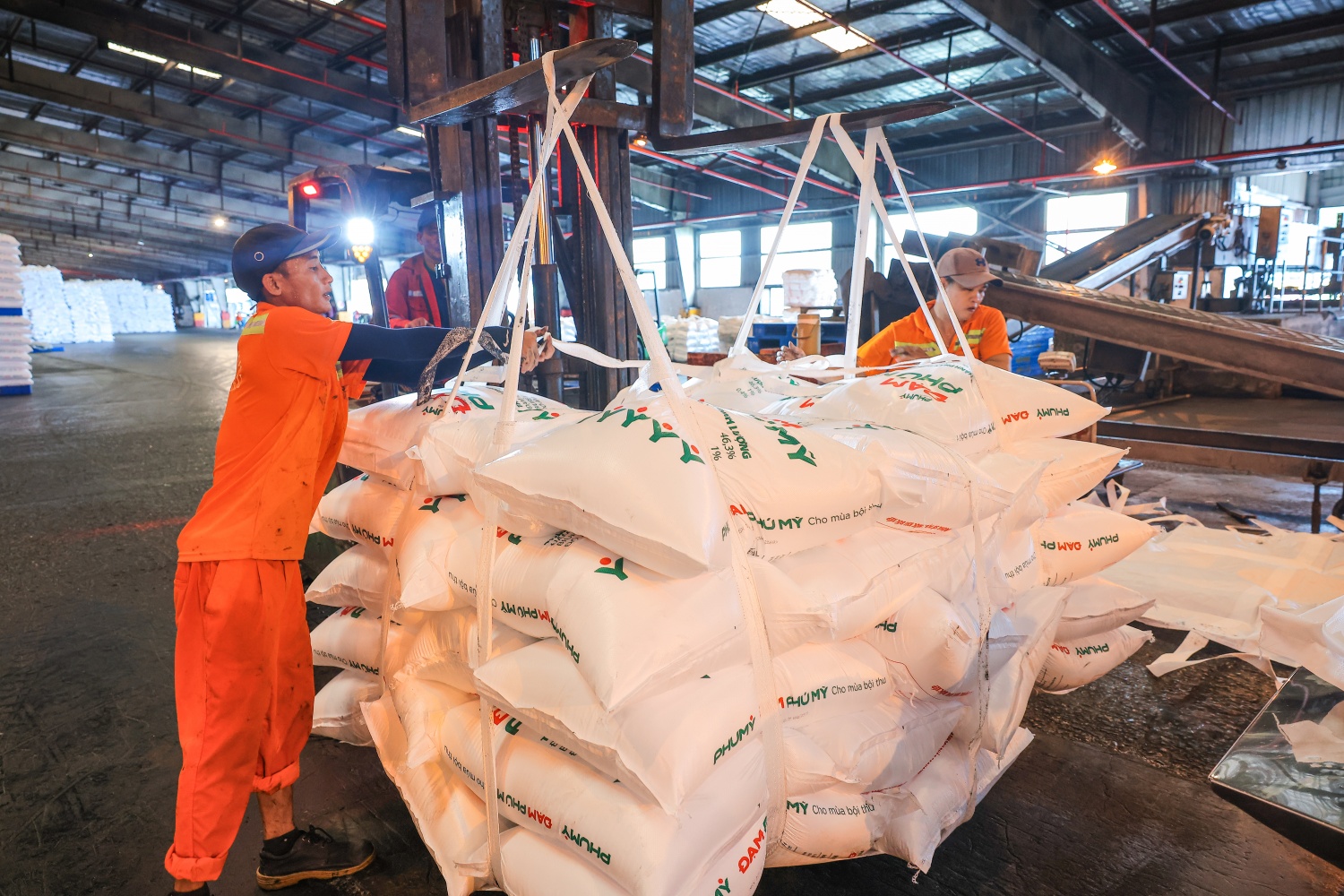 PVFCCo - Phú Mỹ dự kiến trả cổ tức năm 2025 bằng tiền mặt, tỷ lệ 15% (1)