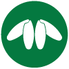 Logo Công ty cổ phần Lương thực A An - AAN>